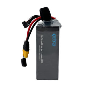 Soft 12S1P 44.4V 16000mAh-01
